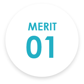 MERIT 01