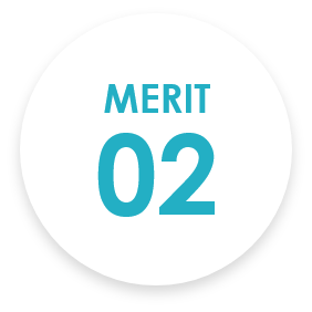 MERIT 02