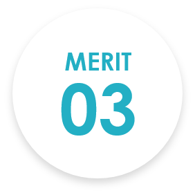 MERIT 03