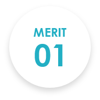 MERIT 01