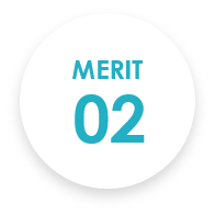 MERIT 02