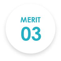 MERIT 03