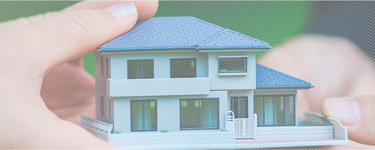 MS 住まいのトータルコーディネーター株式会社マイダス