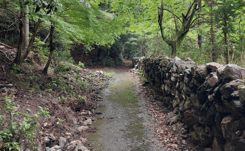 山林