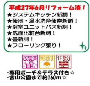 ヴェルドール１０