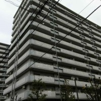 ウェルコートしぎの２