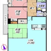 グリーンスクエア新北島一号棟１