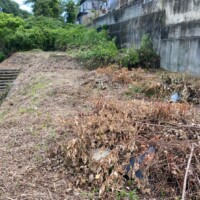 吉野郡大淀町下渕　土地